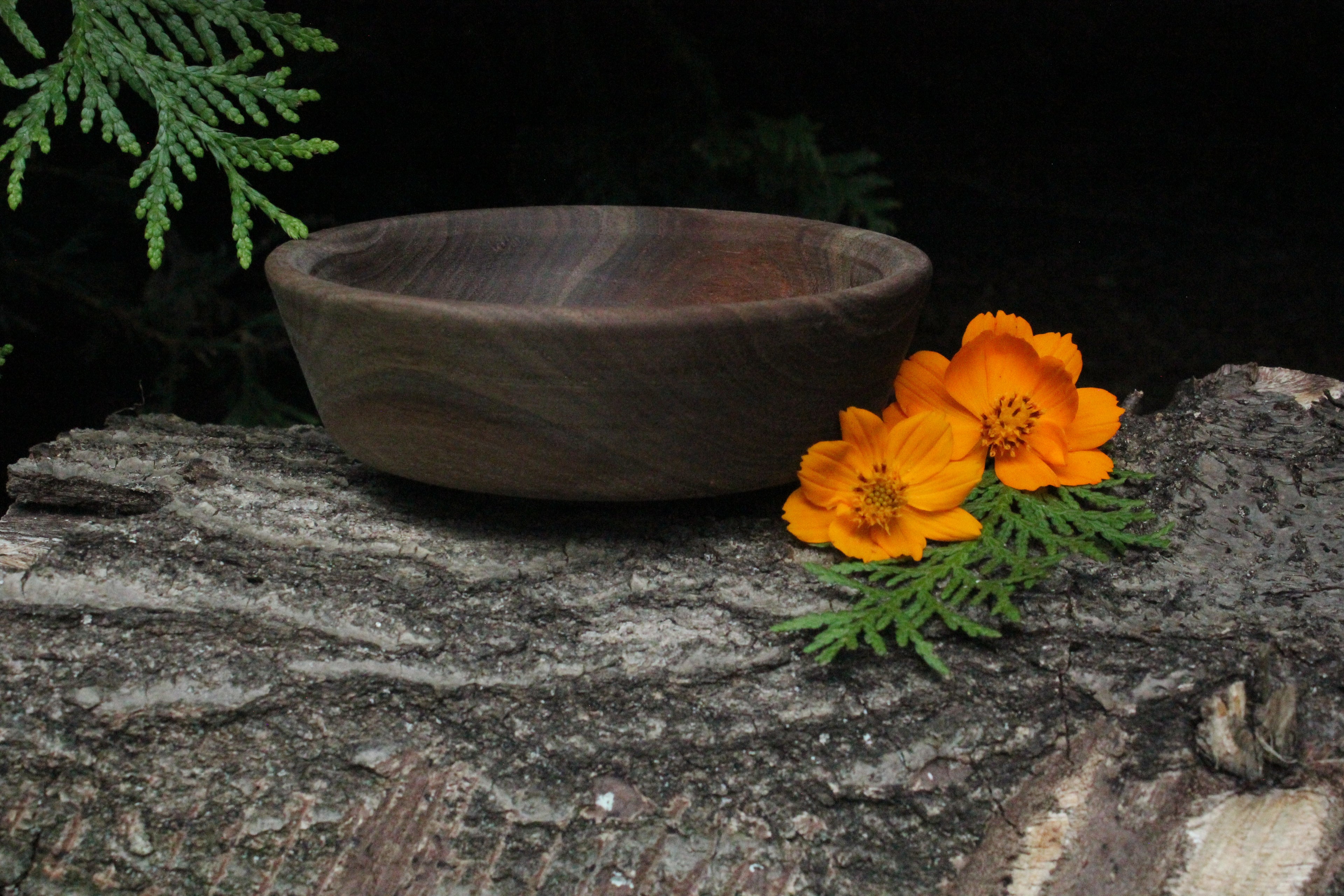 Walnut Kitchen bowl image 0